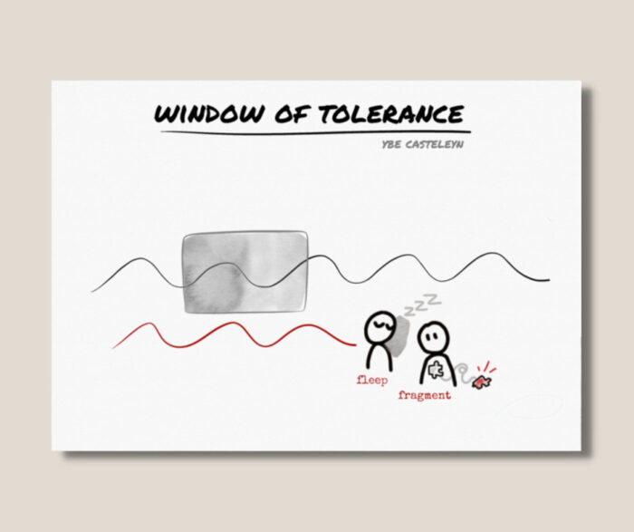 Window of Tolerance - digitale set van slides